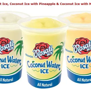 Coconut Water Italian Ice is made with real coconut water.  In 3 flavors.  Yummy!