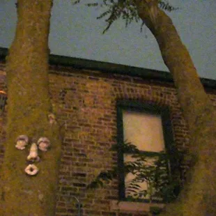 a brick building with a tree in front of it
