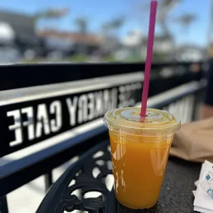 Freshly Squeezed Orange Juice