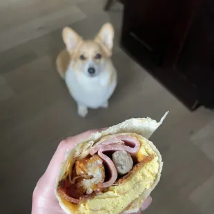 Breakfast Burrito