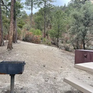 Site #11 camping area