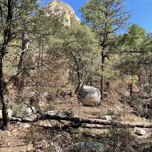 Camping Site #11 surrounding view
