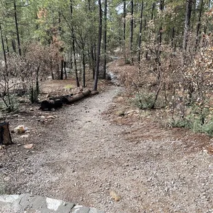 Camping Site #11 is a slope going up.