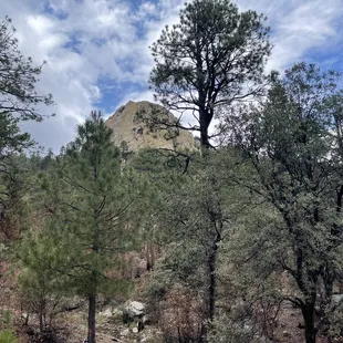 Background view from site #11.