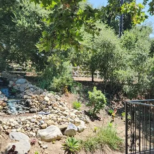 ramen and noodles, outside