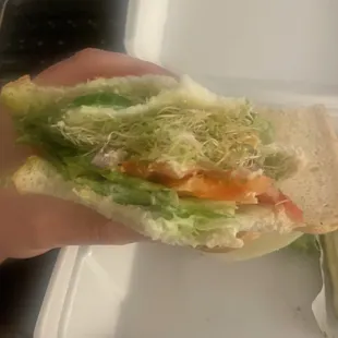 Toasted Veggie Sandwich