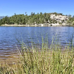 Water edge view, morning, May 2018.