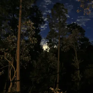 As the moon makes it's appearance, I couldn't help but get a cool shot it.