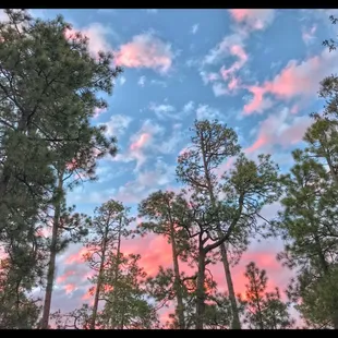 Campsite looking up at an evening FireSky in May 2018.