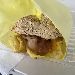 Everything Bagel Toasted