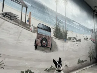 Surfin Donuts