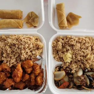 General Tao Chicken/Shrimp in Garlic Sauce