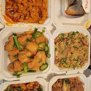 Orange Chicken, Salt &amp; Pepper Fish, Egg Plant veggies, Chow Fun, BBQ Pork Fried rice and free pot sticker