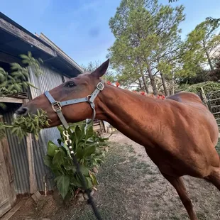 Take the time to smell the flowers