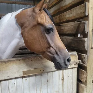 Lightning aka Bug :)