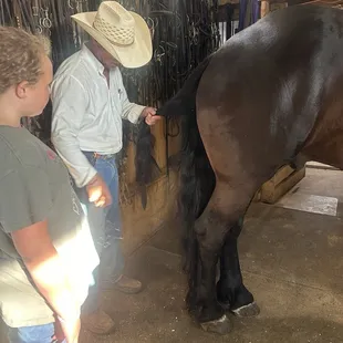 Owning a horse isn't all about the fun of sitting in a saddle