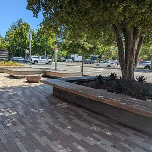 Outdoor bench seating - 7/16/24