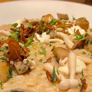 Funghi Risotto