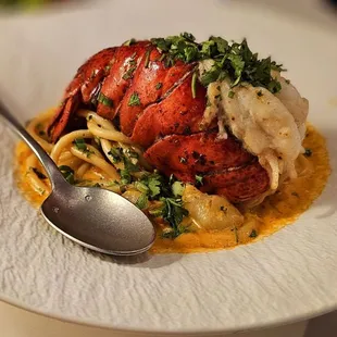 Lobster Bucatini