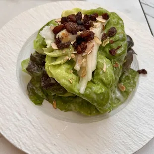 Living Butter Lettuce Salad