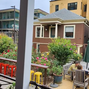 Rose garden in the back