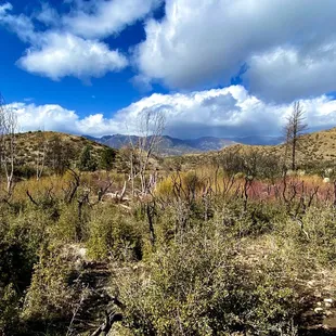 Views from the trail