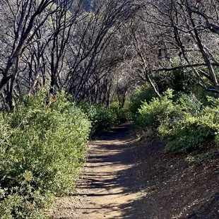 Views from the trail