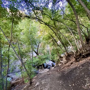 Views from the trail - almost to the falls!