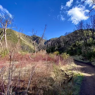 Views from the trail