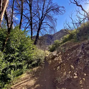 Views from the trail