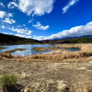 Lovely little lake just outside the parking area! Lots of birds!