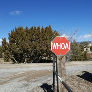 Best stop sign ever