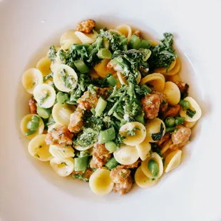 Orecchiette sausage and broccolini