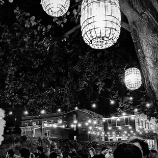 Outdoor space in the summer.