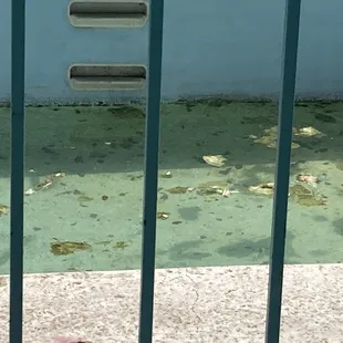 Yeah does everybody see the tint to water. What color does the water appear to your naked eye