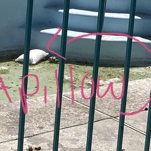 A Pillow from obviously one these rooms. Still floating after to my knowledge 2WEEKS