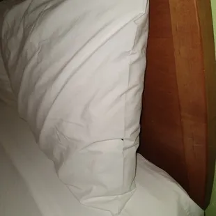 Spot the bedbug.  There's another under the pillow, too.