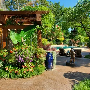 a garden with a pool and a gazebo