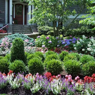the front yard of a house