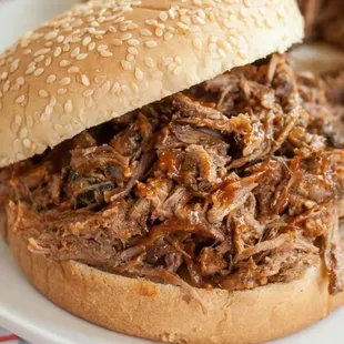 a pulled pork sandwich on a bun