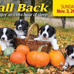 Don't forget to set the clocks