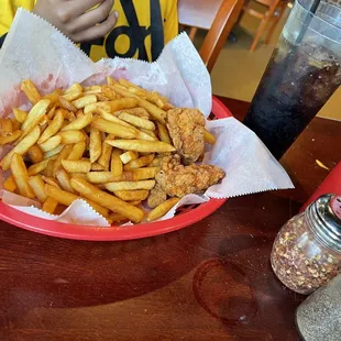 Chicken Tender  &amp; Fries