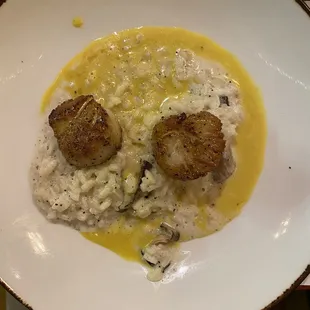 Scallops