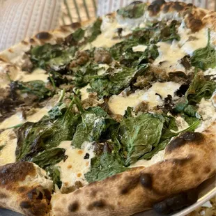 Mushroom &amp; Sausage Pizza