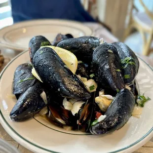 Mussels in Brodo