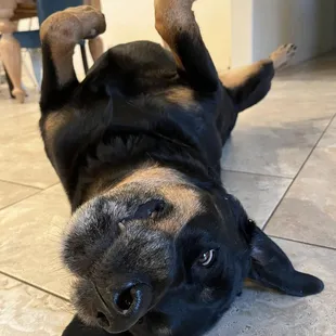 Iris loved sleeping on her back