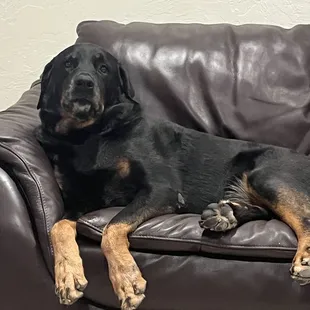 Sneaking another nap