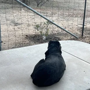 Iris was in so much pain towards the end she wanted to sit outside in the cold