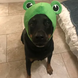 Iris would always let the kids dress her up