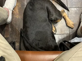 PAWS Veterinary Center